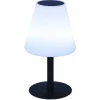 Buitenlamp Op Voet Met Led-Verlichting Edison - Metaal - H36 Cm - Veranderende Kleuren