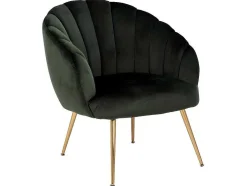 Dano Fauteuil Lounge Fauteuil Groen, Messing.