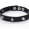 Decoratief Beeldje Panter Met Halsband, Zwart Hoogglans Met Kraag