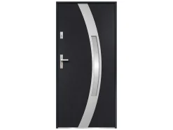 Deur Van Geglazuurd Staal En Inox H.207 X B.100 Cm Antraciet - Links Duwen - Trofa