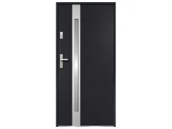 Deur Van Geglazuurd Staal En Inox H.207 X B.100 Cm Antraciet - Links Duwen - Braga