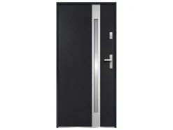 Deur Van Geglazuurd Staal En Inox H.207 X B.100 Cm Antraciet - Rechts Duwen - Braga