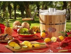Elektrische Sorbetmaker Givreto Van Hout 3.5L