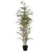 Kunstbamboe Met Natuurlijke Stam - H160 - Mucuri