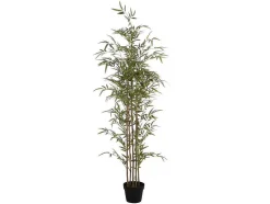Kunstbamboe Met Natuurlijke Stam - H160 - Mucuri