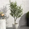 Kunstolijfboom Met Pot - H120 - Huesca