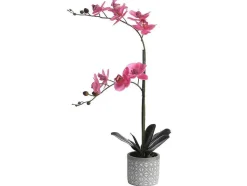 Kunstorchidee Met Pot Van Cement - H55 X B30 Cm - Roze - Riosane