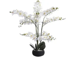 Kunstorchidee Met Pot Van Cement - H65 X B54 Cm - Wit - Tara
