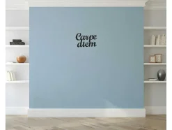 Metalen Decoratie Carpediem, Zwart, 50X1,5X38 Cm, Epikasa