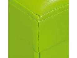 Sanne Opbergdozen Voetenbank Met Deksel, Groen.
