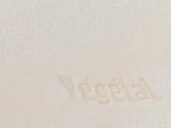 Set 2 Ergonomische Hoofdkussens Met Vormgeheugen Dodo Vegetal - 60X60 Cm