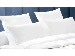 Set Dodo Dekbed Natuurlijk 240 X 260 Cm + 2 Hoofdkussens Dons Baffin 65 X 65 Cm