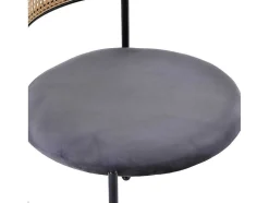 Set Van 2 Fluwelen En Rotan Stoelen - Metalen Poten - Grijs