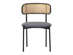 Set Van 2 Fluwelen En Rotan Stoelen - Metalen Poten - Grijs