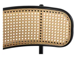 Set Van 2 Fluwelen En Rotan Stoelen - Metalen Poten - Zwart
