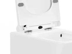 Set Voor Witte Hang-Wc Met Voorwandsysteem En Chroomkleurige Ovalen Bedieningsplaat - Clemona