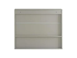 Sobuy Badkamerwandkast Met Spiegel, Wandgemonteerd Wastafelmeubel, Opbergkast Met 2 Deuren, Open Vak En Verstelbare Planken, 60 X 20 X 49,5 Cm, Grijs, Bzr134-Ng
