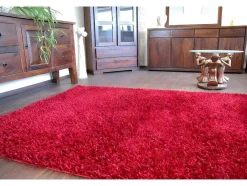 Tapijt Shaggy Lilou Rood 160X230 Cm